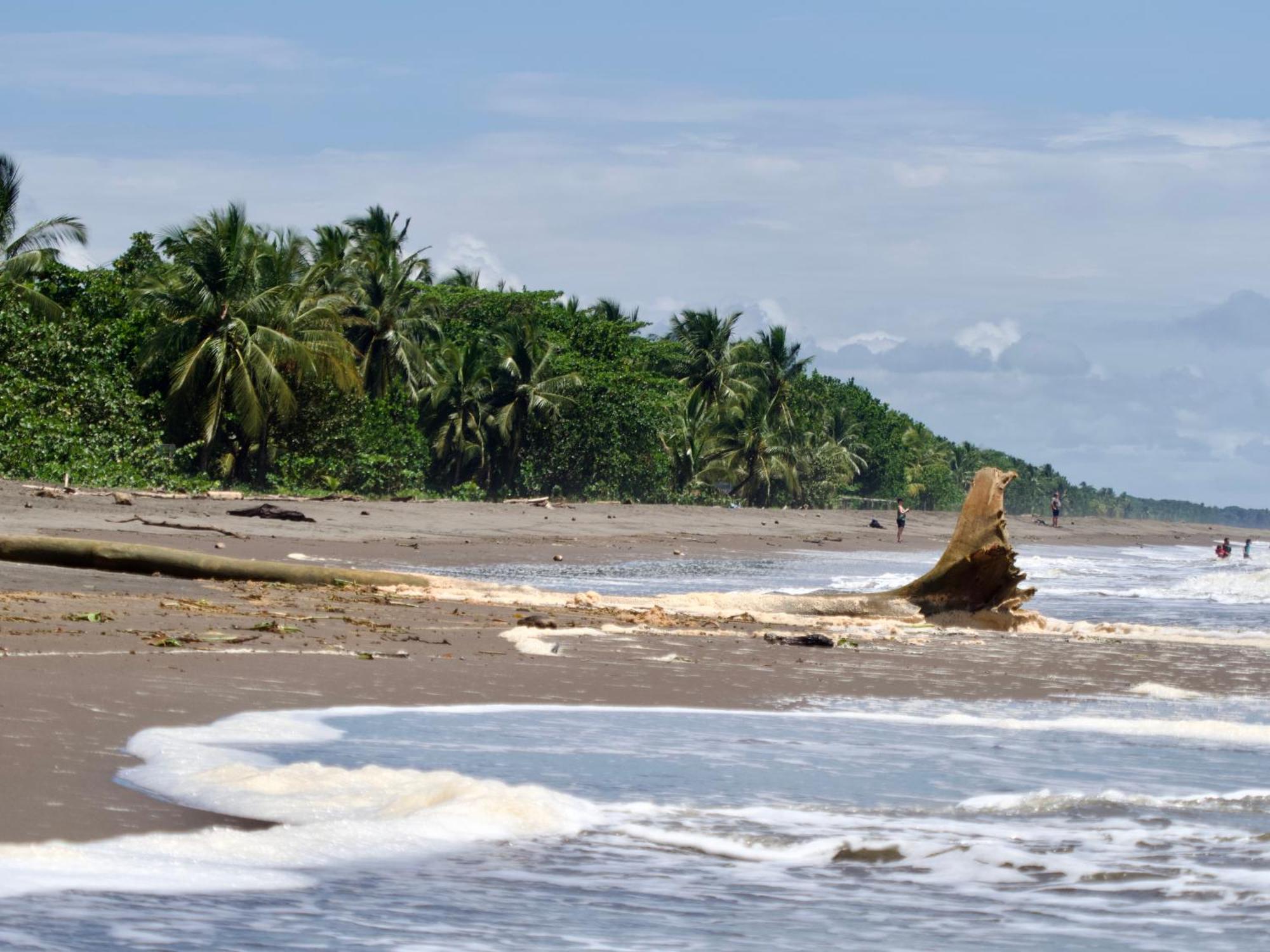 El Deseo Serendipity Tortuguero Eksteriør bilde